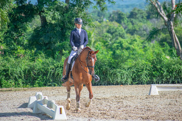 young woman riding a horse in a dressage competition
