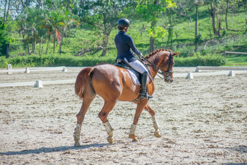 young woman riding a horse in a dressage competition