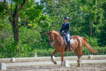 young woman riding a horse in a dressage competition