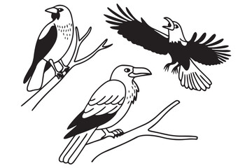 Obraz premium Black and White Bird Illustration – Eagle, Dove, Swan, Songbirds, Cartoon Bird Clipart on Branches for Kids, Coloring, and Learning, Nature-Inspired Vector Art – Wildlife Avian Drawing for Education
