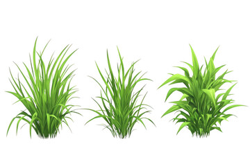 Fototapeta premium Green Grass Tufts Grow, Ideal For Gardens And Landscapes Designs