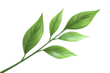 Obraz premium Green leaves on a stem with nature concept and simple spring theme.