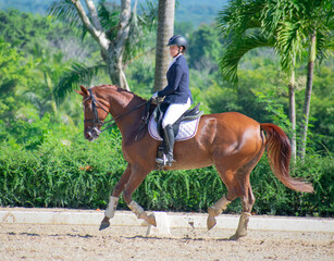 young woman riding a horse in a dressage competition