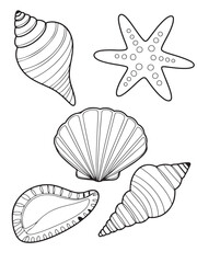 set of seashells
