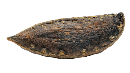 Dark Brown Seed Pod Dried Fruit Botanical Specimen Close up Texture