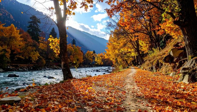 Lidder Valley in Autumn, Pahalgam, Kashmir, J&K, India