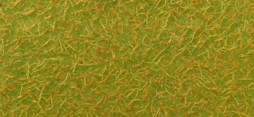 Kiwi Fruit Rind Macro Texture - Fuzzy Brown Hairs & Green Layer for Organic & Natural Designs