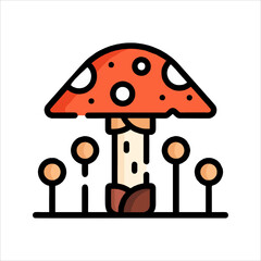 fly agaric mushrooms