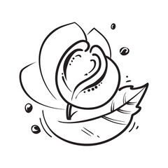 Abstract Rose Flower Doodle Line Art