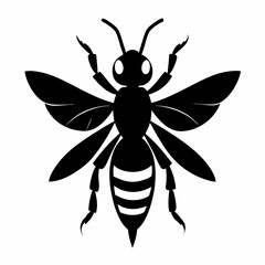 Fototapeta premium vector illustration of a bee