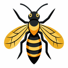 bee on white background