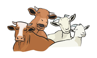 group of goats and cows for eid al adha illustration