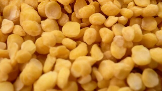 Close-up of a large group of yellow split peas filling the frame, creating a simple background or texture for food preparation and nutrition