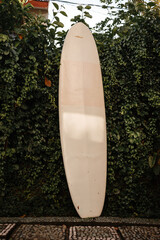 White surfboard with cracked paint against the background of bushes in the garden. Longboard for painting and repair
