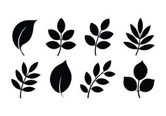 set of vector leaves