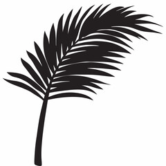 Obraz premium Elegant black palm frond silhouette graphic design element perfect for tropical themes simple yet stylish clean white