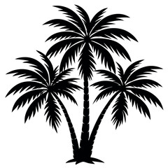 Plam tree vector silhouette with white background