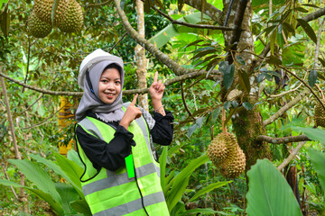 Young Asian woman farmer checking industrial scale durian plantation © Ayudia
