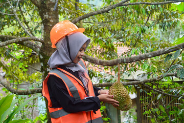 Young Asian woman farmer checking industrial scale durian plantation © Ayudia