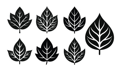 black leaf icon illustration set