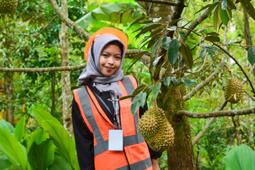 Young Asian woman farmer checking industrial scale durian plantation © Ayudia