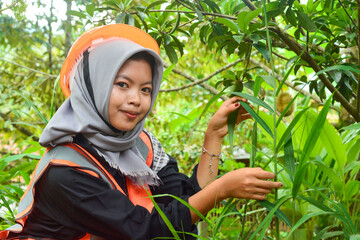 Young Asian woman farmer checking industrial scale durian plantation © Ayudia