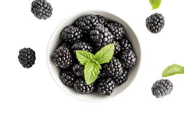 A top down view of blackberries in a white bowl with mint leaves on a black background in a studio shot