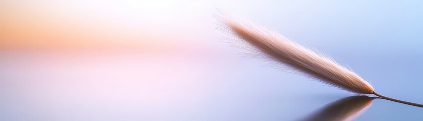 Obraz premium Wetland Ecosystems Adapting to Environmental Change, A delicate grass blade reflects soft colors in a tranquil setting.