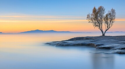 Obraz premium Serene Sunset Over Calm Waters with Lonely Tree on Rocky Shoreline Landscape