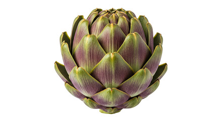 Fototapeta premium Single Artichoke Vegetable, Green Purple, Fresh, Edible, Healthy, Food, Diet, Cuisine, Mediterranean