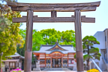 Naklejka premium 鳥居