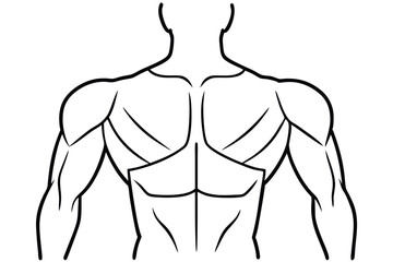 Deltoid Stretch Diagram Line art