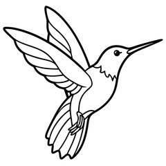 Delicate Hummingbird Coloring Page A Flying Jewels Illustration
