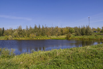 Pylypow Wetlands in the Summer