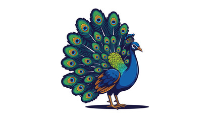 Obraz premium Elegant Peacock Vector Illustration Featuring Vibrant Blue Plumage And A Stunning Tail Display Created With Clean Lines And A Modern Artistic Style Conveying Beauty And Serenity