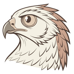Eagle Adobe Illustrator Artwork