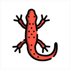 frog on a white background