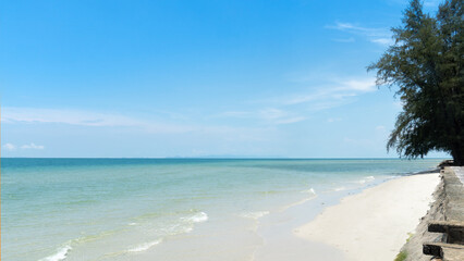 Beach area with bright sea. Concrete wall for protect wave of sea at front with pine trees. Waves of the sea and the sandy beach are fun for kids under the clear blue sky.