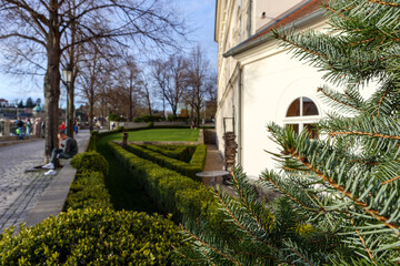 
A city landscape with a park with geometrically trimmed green bushes, a walkway with people, trees without leaves, and a fragment of a building with an arched window on the right, with a blurred coni