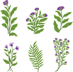 Leaf Flower Floral Element