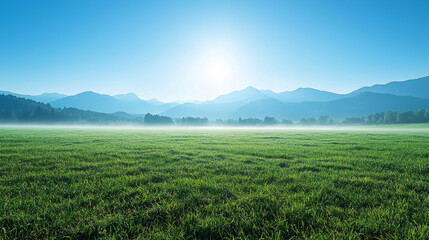 panoramic view of a foggy green meadow with mountains in the background, a blue sky, the sunny morning light