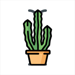 cactus in a pot