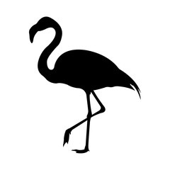 Flamingo Silhouette Standing Bird Illustration on Transparent Background © Rais72