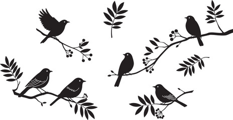 Bird Silhouettes Editable Vector isolated on transparent background. Black bird on branch vector set png. Customizable bird graphics.