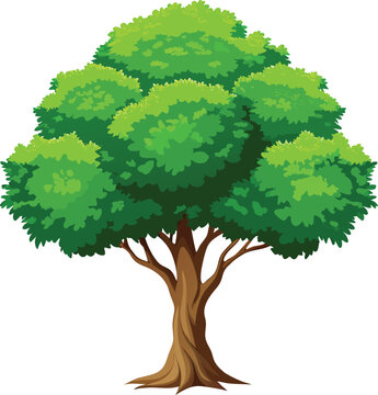 Summer lush green tree vector 