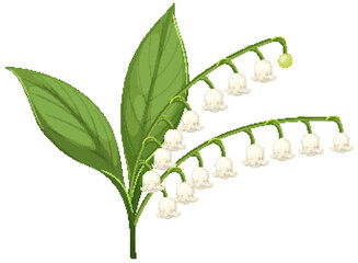 Elegant Lily of the Valley Vector Illustration