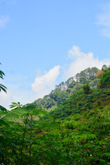 A view photo of a small flat stone podium on a stone platform, with lush green leaves and a calm blue horizon behind it, bathed in soft natural light, suitable for product display