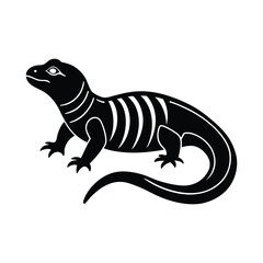 leopard gecko on a white background