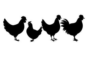 set of Chicken silhouette vector illustration