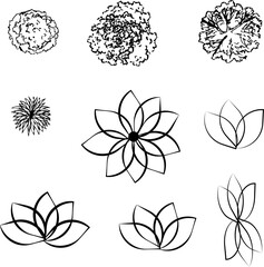 set of vector floral elements